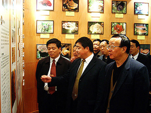 凯发k8国际官网