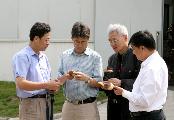 凯发k8国际官网